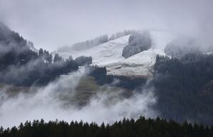 Mit Neuschnee bedeckt sind die nebelverhangenen Berge des Allgäus., © Karl-Josef Hildenbrand/dpa