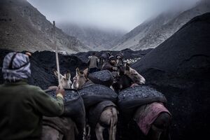 In den Minen von Chinarak arbeiten täglich Hunderte von Bergleuten für einen Tageslohn von nur wenigen Euro, © Oliver Weiken/dpa