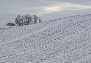 Schnee liegt auf den Hügeln am Rande des Oderbruchs., © Patrick Pleul/dpa