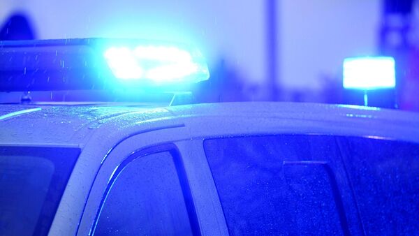 Blaulichter leuchten auf dem Dach eines Polizeifahrzeugs., © Carsten Rehder/dpa/Symbolbild