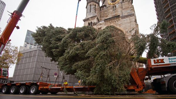 Der Weihnachtsbaum ist am Berliner Breitscheidplatz angekommen., © Paul Zinken/dpa