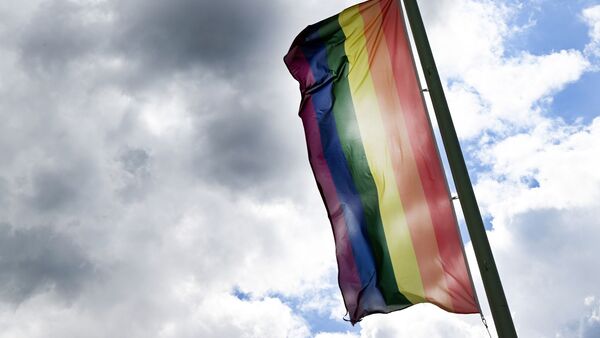 Eine Regenbogenflagge weht im Wind., © Federico Gambarini/dpa/Symbolbild